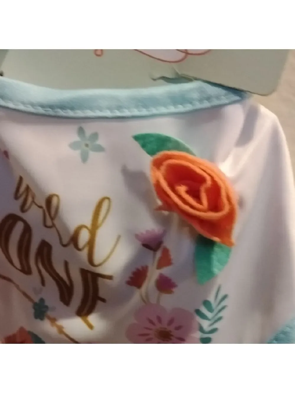 D- NWT Wild One First Birthday Bib - Multicolor